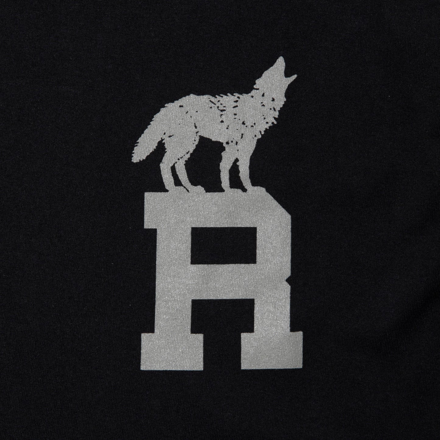 ROTTWEILER RW DYED TEE