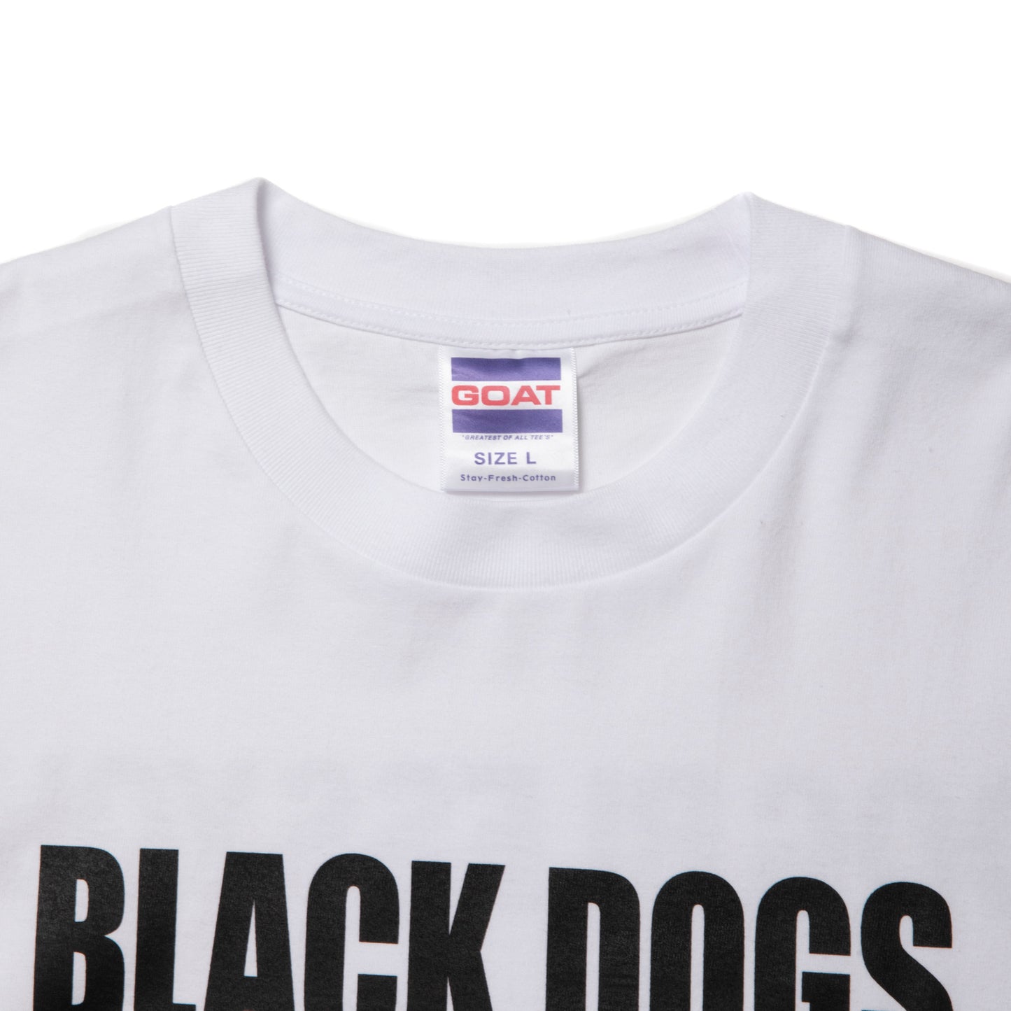 ROTTWEILER ロットワイラー RW PHOTO TEE- WHITE -