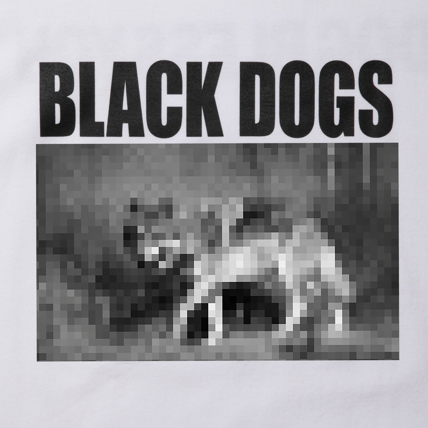 ROTTWEILER ロットワイラー RW PHOTO TEE- WHITE -