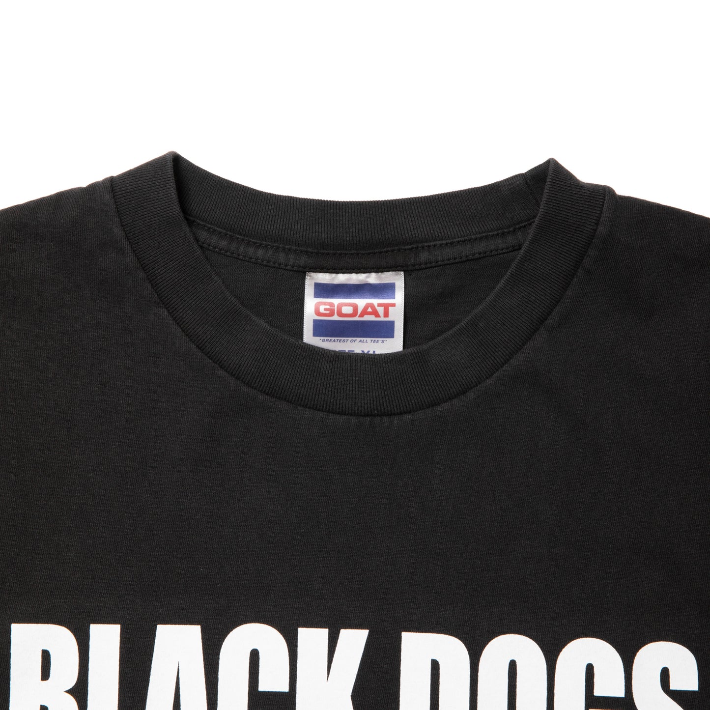 【SALE】ROTTWEILER ロットワイラー RW PHOTO TEE- CHARCOAL -