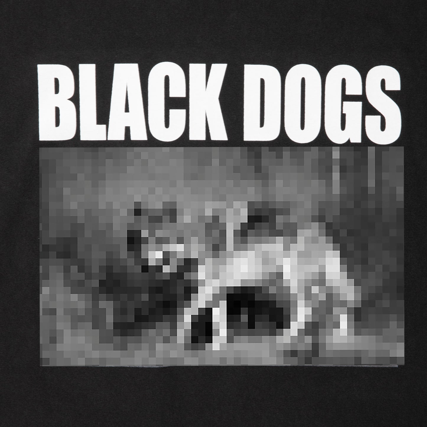 【SALE】ROTTWEILER ロットワイラー RW PHOTO TEE- CHARCOAL -