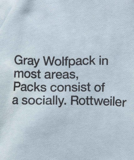 ROTTWEILER Dyed Pullover Sweat