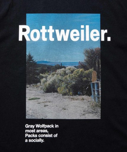 ROTTWEILER Desert Photo Tee